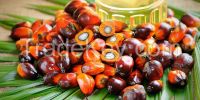 Crude Palm Oil 