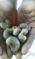 RAW CASHEW NUTS IN SHELL FROM GHANA