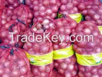 Red Onion In Mesh Bags