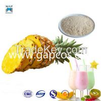 Freeze / Spray Dried Instant Drink Pineapple Fruit Juice Powder