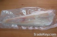 Alaskan Pacific Cod (Gadus macrocephalus) Fillets