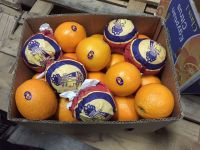 Fresh Navel Orange