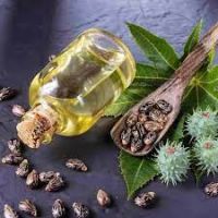 Best Grade Castor Oil 40%-80%