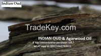 https://ar.tradekey.com/product_view/Oud-amp-Agarwood-Oil-For-Sale-In-Uae-Very-Good-Quality-From-India-100-Original-Natural-8410897.html