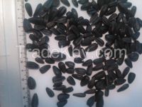 Black Sunflower Seeds for Human Use