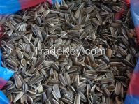 Striped Protein Sunflower Seeds For Birds