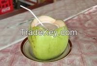 COCONUT and BANANA for export