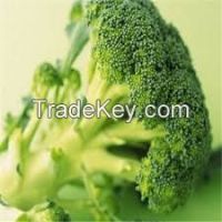 IQF Broccoli