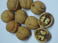 Inshell Walnuts, Shelled Walnuts