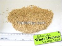 99% Purity White Sesame Seeds