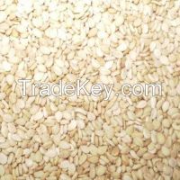 White Humera Sesame Seeds