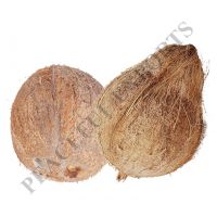 Coconut