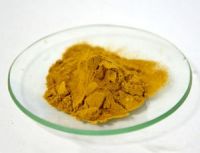 apple extract procyanidin b2 apple fruit extract 10% uv phloretin CAS:29106-49-8