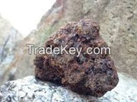 shilajit stone (natural asphaltum or mineral pitch) 