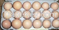 HALAL High Fresh Table Eggs Brown And White GRADE A