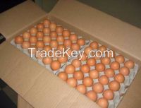 Chicken Table Eggs Brown and White Shell Chicken Eggs