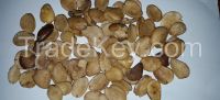 irvingia gabonesis seed, bush mango seed, ogbono seed,Irvingia Gabonensis Extract