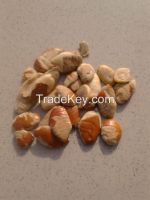 irvingia gabonesis seed, bush mango seed, ogbono seed,Irvingia Gabonensis Extract