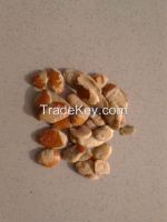 irvingia gabonesis seed, bush mango seed, ogbono seed,Irvingia Gabonensis Extract