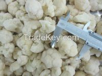 Wholesale Fresh Frozen Cauliflower,IQF Cauliflower Florets