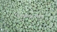  Dry and frozen Whole and Split Broad beans/ Fava beans