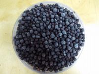 WIld blueberry