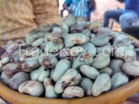 Raw Cashew Nuts 