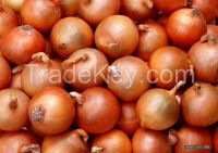 Fresh Golden Onions