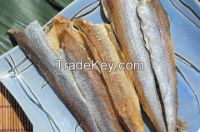 dried blue whiting