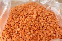 RED LENTILS SPLIT