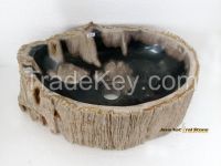 Fossil Wood Basins