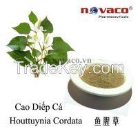Houttuynia Cordata extract