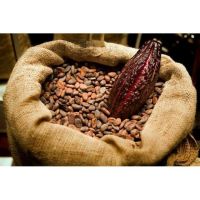 COCOA BEANS