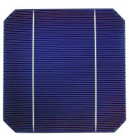 https://jp.tradekey.com/product_view/5-Inch-Mono-Crystalline-Solar-Cell-Efficinecy-14-16--305714.html