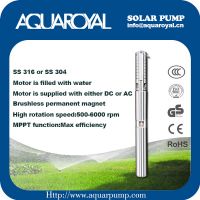 DC Solar Pumps|Permanent Magnet|DC brushless motor|Motor is filled with water|Solar well pumps-4SP2/5(Separated Type)