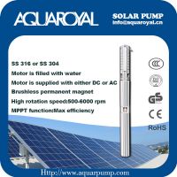 DC Solar Pumps|Permanent Magnet|DC brushless motor|Motor is filled with water|Solar well pumps-4SP14/4(Separated Type)