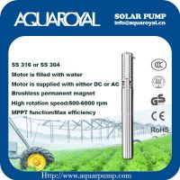 DC Solar Pumps|Permanent Magnet|DC brushless motor|Motor is filled with water|Solar well pumps-4SP8/3(Integrated Type)
