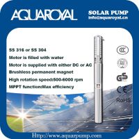 DC Solar Pumps|Permanent Magnet|DC brushless motor|Motor is filled with water|Solar well pumps-4SP8/7(Separated Type)