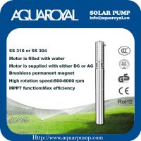 DC Solar Pumps|Permanent Magnet|DC brushless motor|Motor is filled with water|Solar well pumps-4SP2/5(Integrated Type)