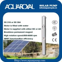 DC Solar Pumps|Permanent Magnet|DC brushless motor|Motor is filled with water|Solar well pumps-4SP5/8(Separated Type)