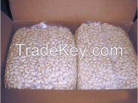 Blanched Peanut Kernels 