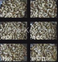 cashew nut W320, W240, W450