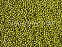 Green Mung Beans