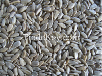 Sunflower Seed Kernels