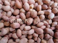 peanuts kernels