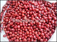 Red Kidney Beans