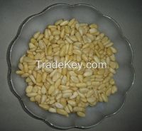 pine nut kernels