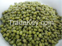 Green Mung Beans