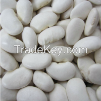 White Kidney Beans