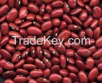 Red Kidney Beans